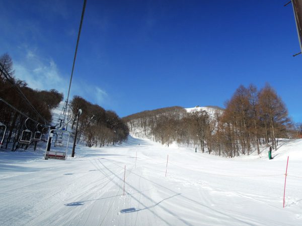 ３月の猫魔スキー場