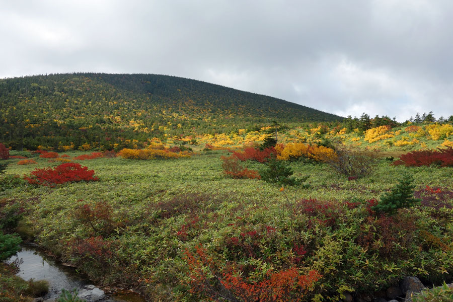 Vinblog 浄土平の紅葉がきれい