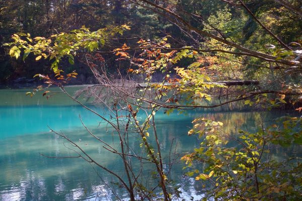 青沼の紅葉/五色沼