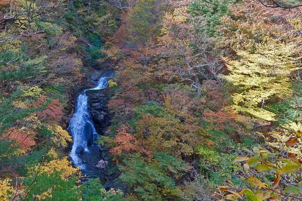 安達太良、塩沢コースの紅葉