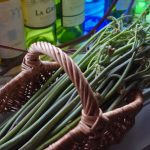 山菜の季節