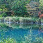 五色沼の紅葉