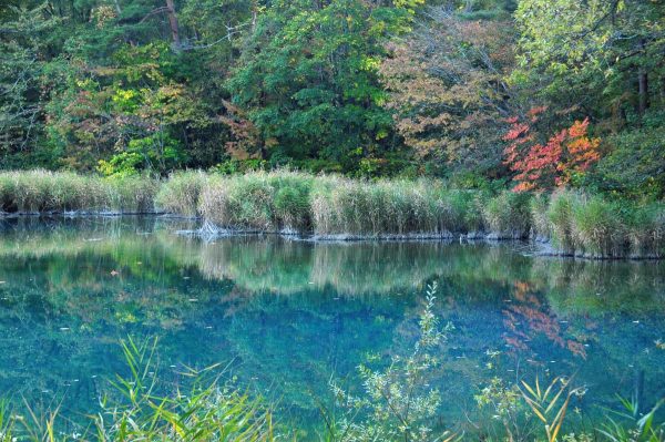 るり沼の紅葉