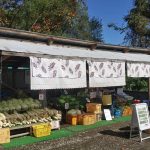 紅葉の時期におすすめなお土産